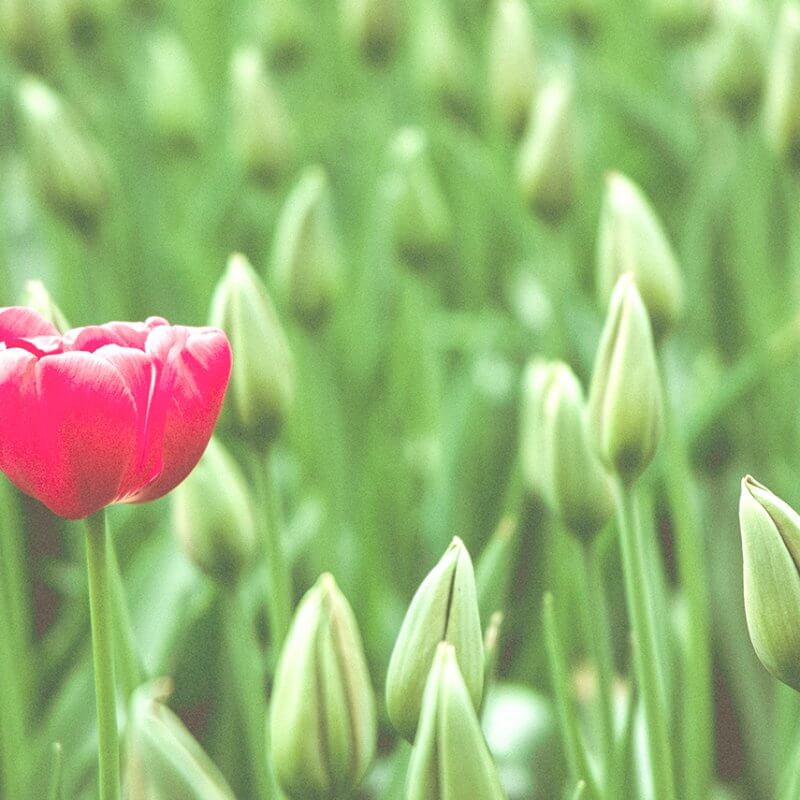 Hero - Marketing during COVID19 - 1