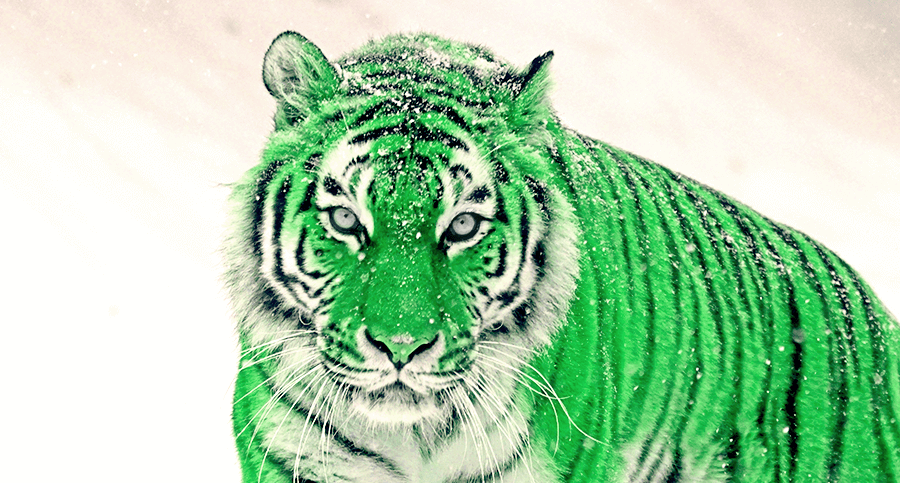 real green tiger